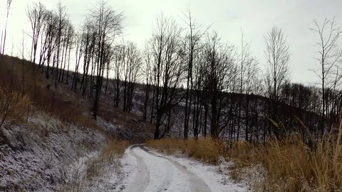 On the way to Mravecnik. Video stock 82850146
