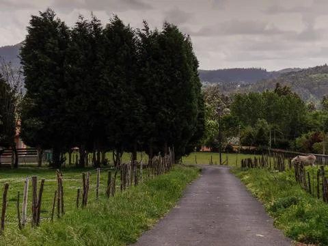 Way to nowhere Stock Photos