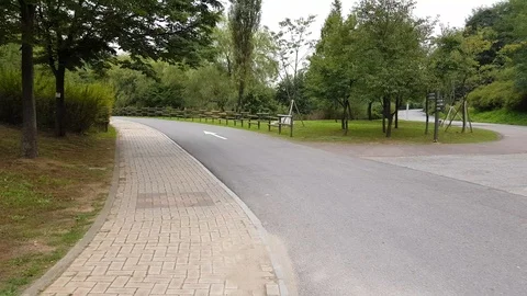 Way to the park Video stock 95506327