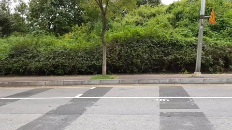 Way to the park Video stock 95510757