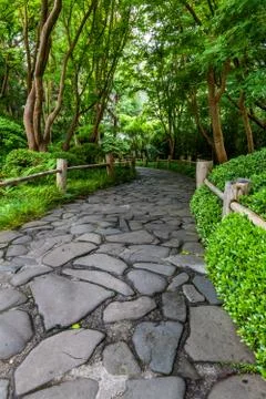 The way to peace Stock Photos