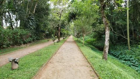 The way Stock Photos