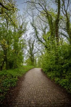 The way to Stock Photos