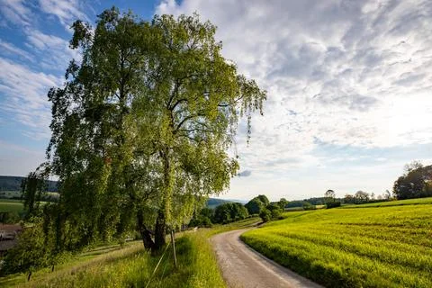 The way to... Stock Photos