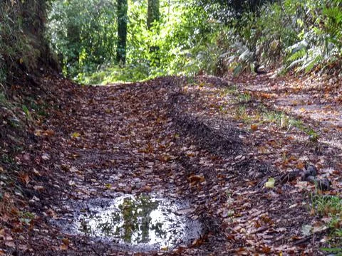 The Way Stock Photos