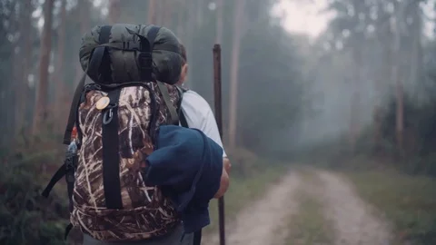 Way of Saint James pilgrim backpacker female going by the path through Eucalyptu Stock Footage 115210662