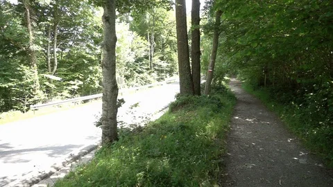 Way of Saint James through a forest of Navarre Stock Footage 95620117