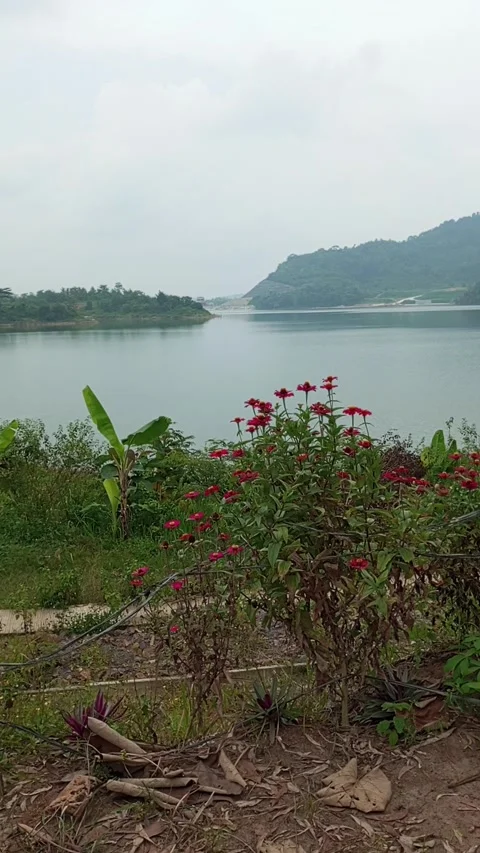 Way sekampung Stock Footage 209247580