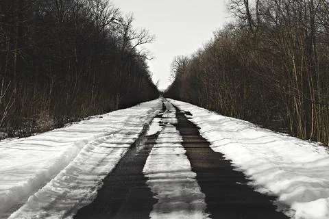 Way to spring. Selective focus on way and trees. Stock Photos