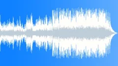 The Way To SuccessStock Music