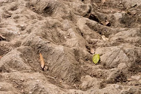 On the way to Thikedunga Stock Photos