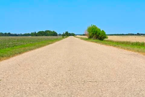Way through the field Stock Photos
