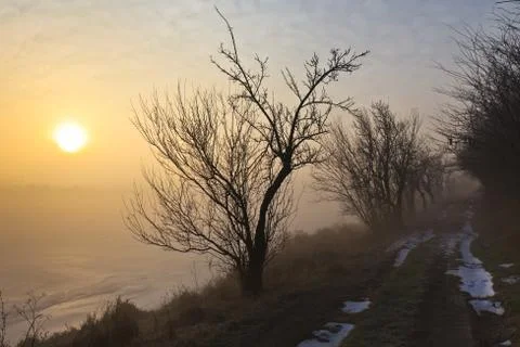 Way through the fog Stock Photos