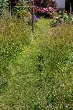 Way through the grass into the garden Stock Photos
