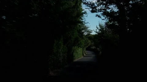 Way through Green Trees Arch Over Road At Sunny Day. Side view From Car Window Stock Footage 201568100