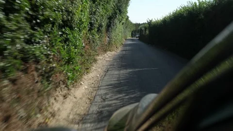 Way through Green Trees Arch Over Road At Sunny Day. Side view From Car Window Stock Footage 202135717