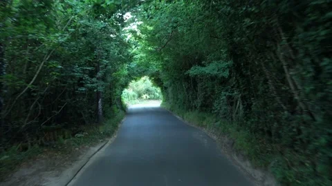 Way through Green Trees Arch Over Road At Sunny Day. Side view From Car Window Stock Footage 202135814