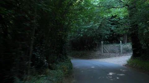 Way through Green Trees Arch Over Road At Sunny Day. Side view From Car Window Stock Footage 202135933