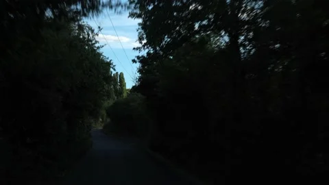 Way through Green Trees Arch Over Road At Sunny Day. Side view From Car Window Stock Footage 202177096