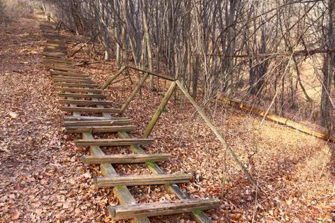 The way to the top in the austrian forest Stock Photos