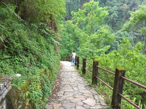 The way of water fall Фото