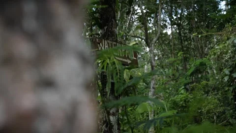 Way to the waterfall Stock Footage 271223545