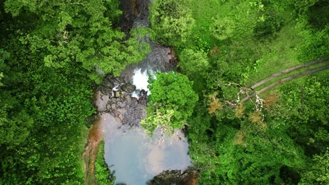 Wayanad Stream Stock Footage 315065355