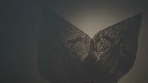 Wayang Kulit Indonesia Puppet Shadow Play Tradition Java Bali Culture Stock Footage 178896895