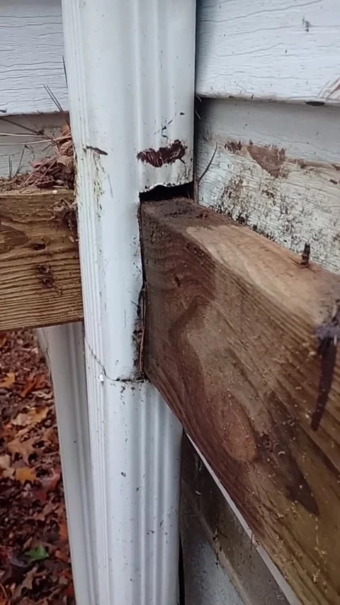 Ways Not to Build a Deck, Arkansas, USA - 04 Oct 2025 Video stock 326061939