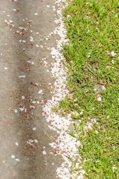 Wayside Stock Photos