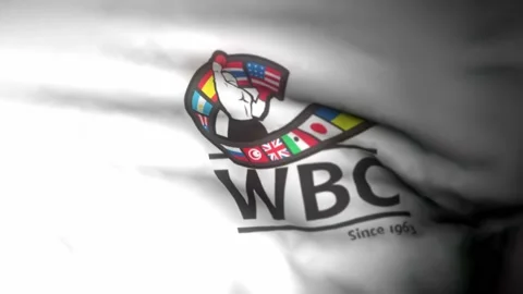WBC   3840x2160UHD Video stock 224612155