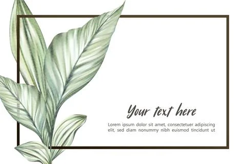 WC leaf 01 Stock Illustration