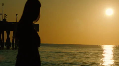 Wdc 13 Stock Footage 26406702