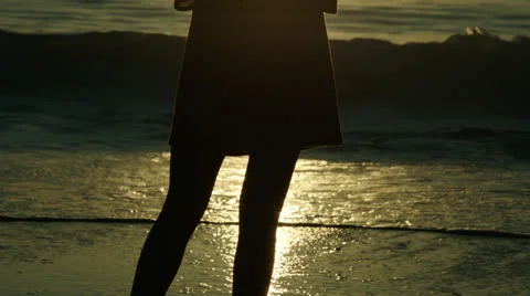 Wdc 14 Video stock 26407224