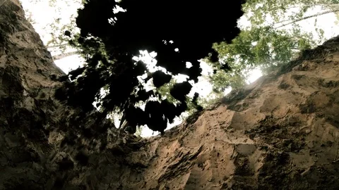 We are Buried Diggers Works Slow Motion Shot Stock Footage 113074880