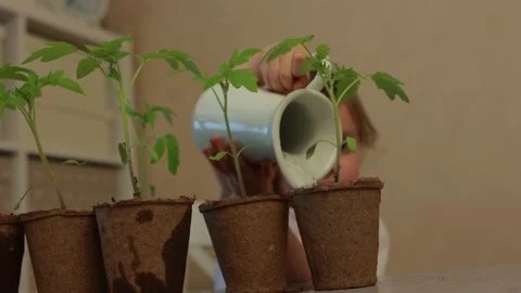 We are Growing Together. Ecological farming. Growth concept Stock-Footage 169219157