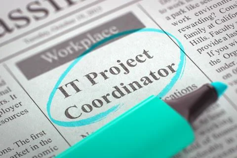 We are Hiring IT Project Coordinator. 3D 스톡 일러스트