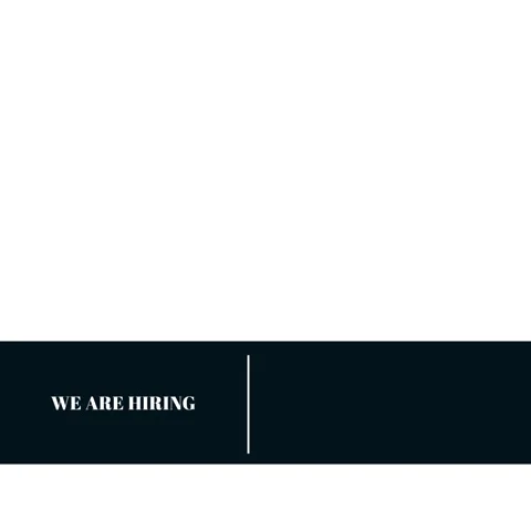 We are hiring, white background Stock Footage 245474012