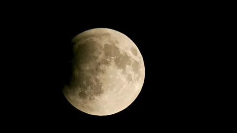 We are watching the lunar eclipse. Vídeos de archivo 320522045