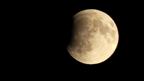 We are watching the lunar eclipse. Stock Footage 320522047