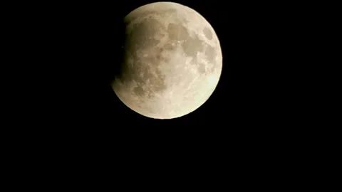 We are watching the lunar eclipse. Stock Footage 320522048