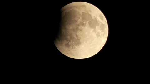 We are watching the lunar eclipse. Stock Footage 320522050