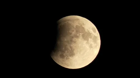 We are watching the lunar eclipse. Stock Footage 320522052