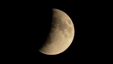 We are watching the lunar eclipse. Stock Footage 320522070