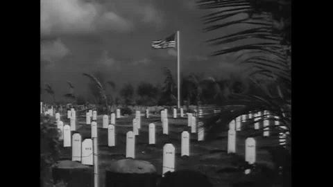 See Whars Stock Videos RoyaltyFree HD