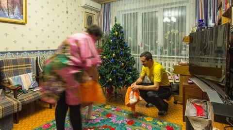 As we cleaned a fir-tree Stock Footage 59190820