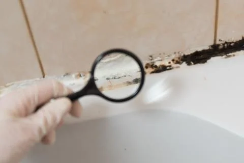 We consider the mold under a magnifying glass. In the bathroom, a black mold  Stock Photos