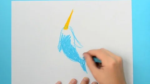 We draw a dolphin. Monodon monoceros. Stock Footage