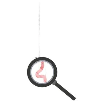 We examine the worm on a hook under a magnifying glass, fishing bait Stock Illustration