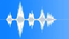 We fight for freedomSound Effect